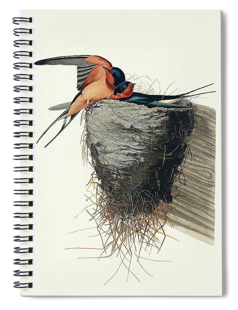 Audubon Birds Spiral Notebook featuring the drawing Barn Swallow #2 by John James Audubon