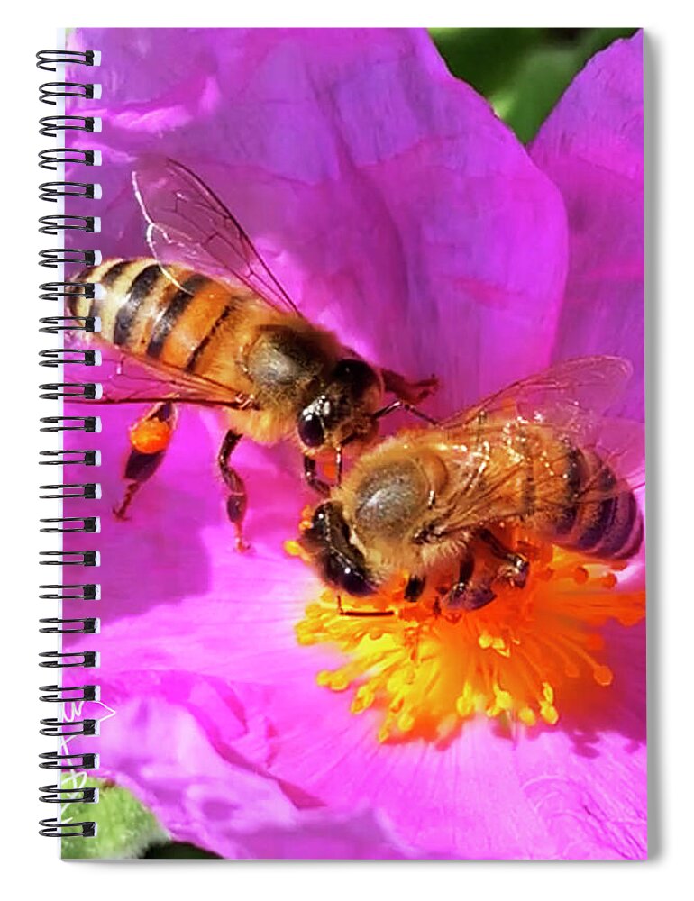 Bess Spiral Notebook featuring the photograph 2 Bees or Not 2 Bees by DC Langer