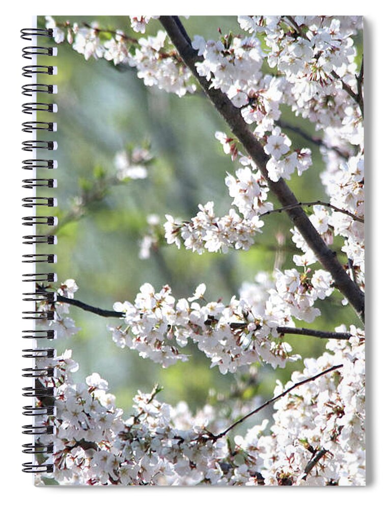 Flowers Spiral Notebook featuring the photograph Cherry Blossoms #2 by Trina Ansel
