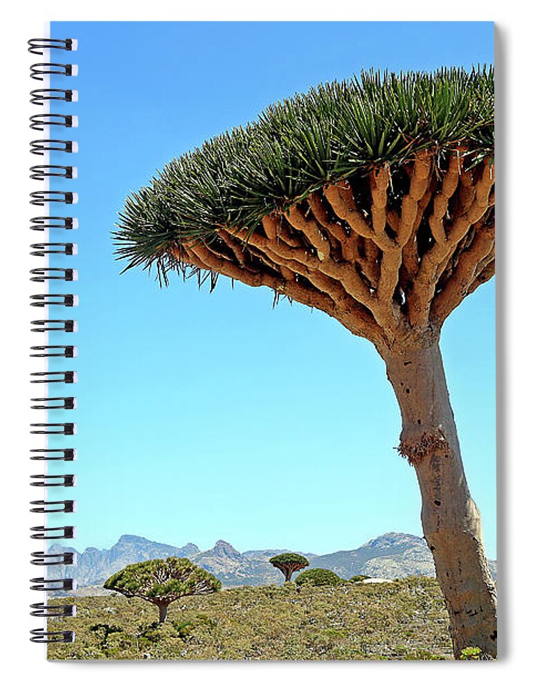  Spiral Notebook featuring the photograph Yemen 249 by Eric Pengelly