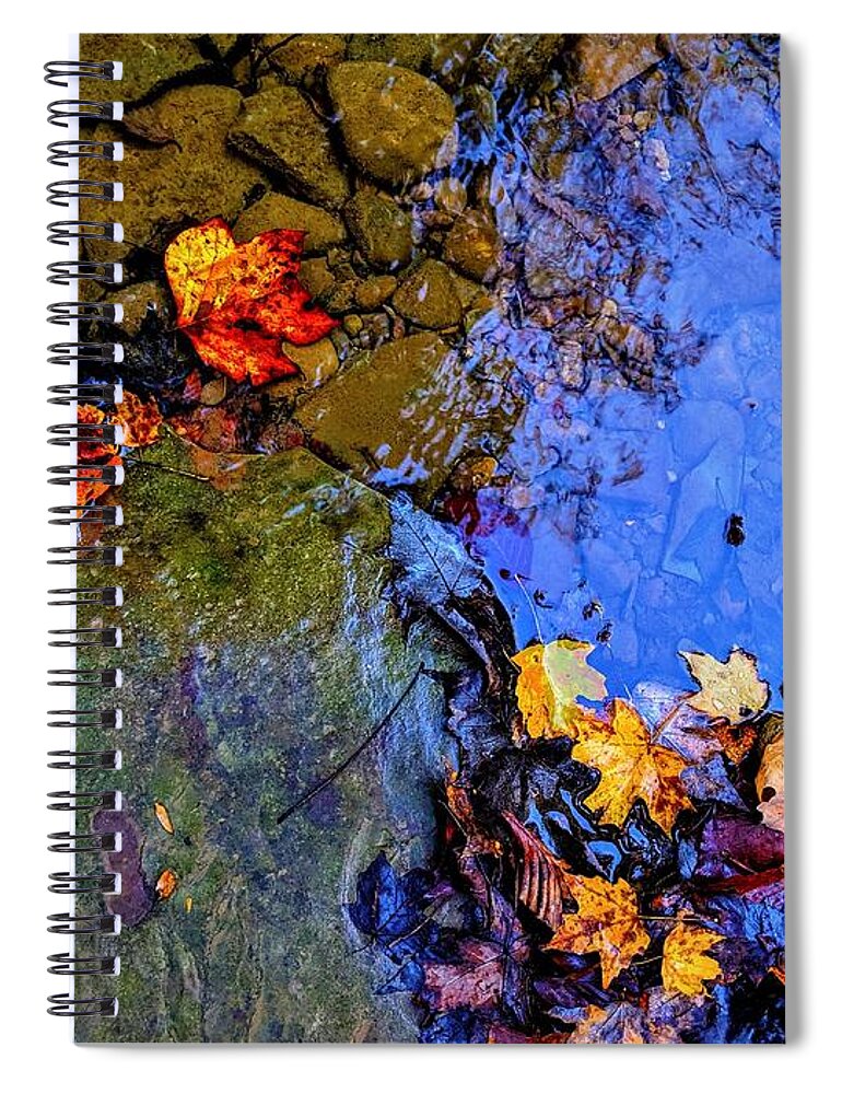  Spiral Notebook featuring the photograph Fall Leaves by Brad Nellis