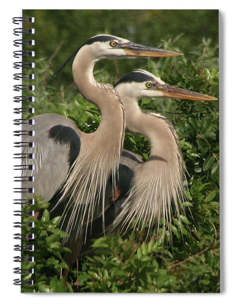 Nature Spiral Notebook featuring the photograph Family Portrait by Mariarosa Rockefeller