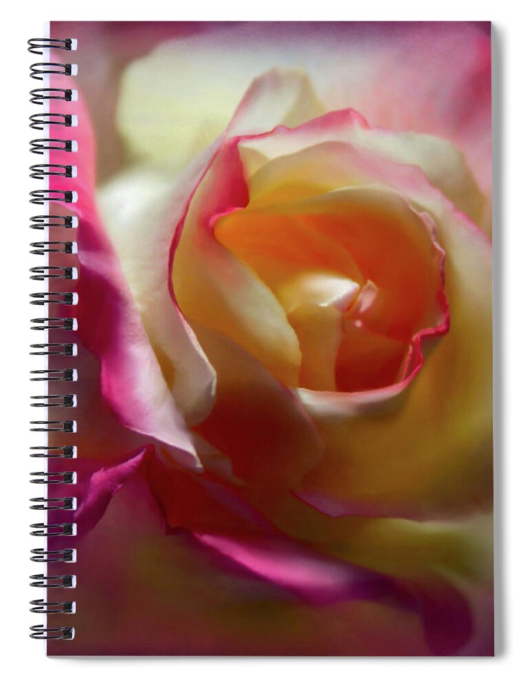 Roses Spiral Notebook featuring the photograph Fire and Ice Rose #2 by Sally Bauer