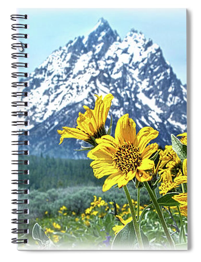 Grandtetons Spiral Notebook featuring the photograph Grand Tetons #3 by Phil Koch