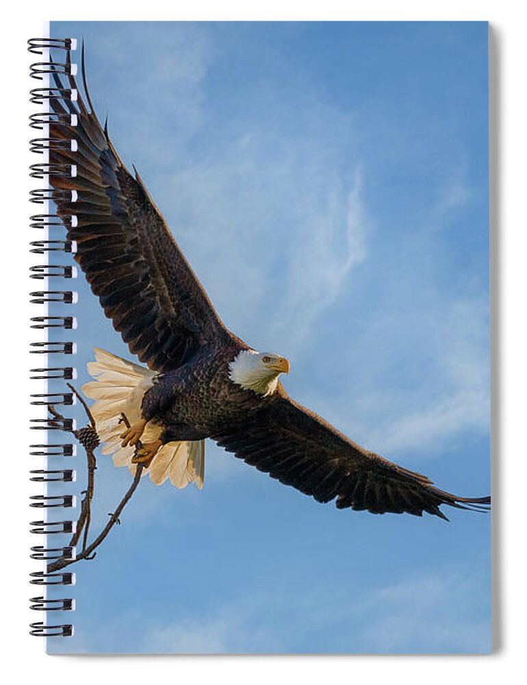 Eagle Spiral Notebook featuring the photograph Nest Building #2 by Les Greenwood