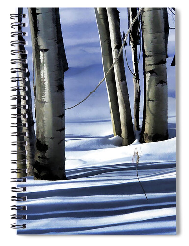 Winter Spiral Notebook featuring the photograph Shadows #2 by Roland Stanke