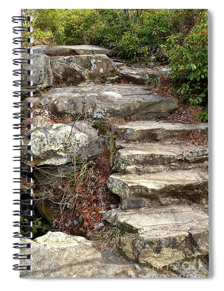 Hike Spiral Notebook featuring the photograph Steps Into The Forest by Phil Perkins