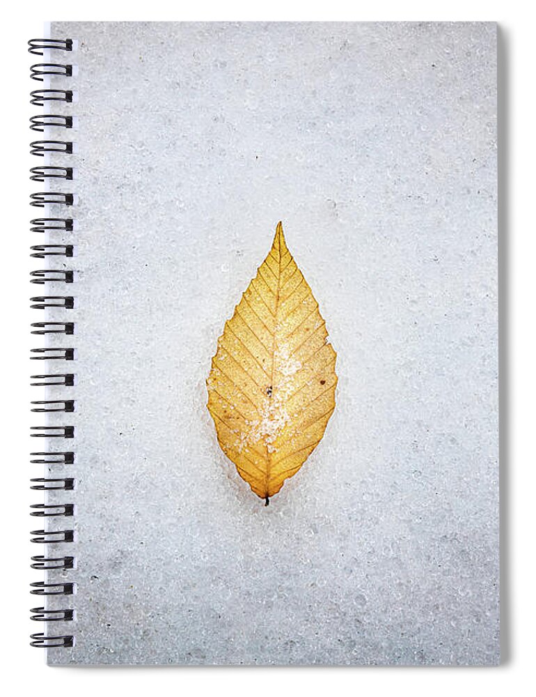 Snow Day Spiral Notebook featuring the photograph The Leaf #2 by Jordan Hill