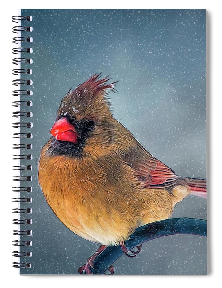 Bird Spiral Notebook featuring the photograph Winter Cardinal by Cathy Kovarik
