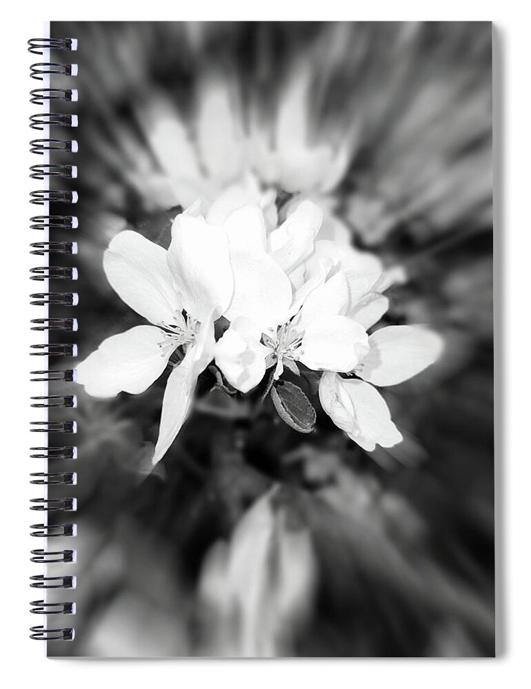 2021 Spiral Notebook featuring the photograph 2021 Black and White Apple Blossom Zoom Blur Photograph by Delynn Addams
