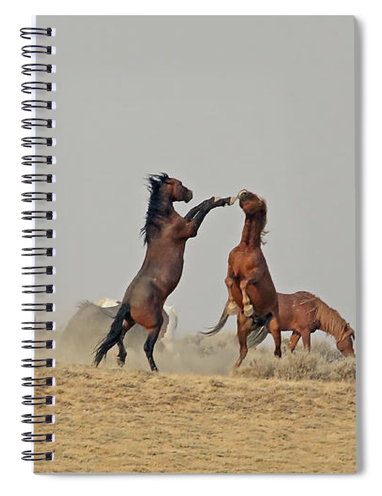 Mustangs Spiral Notebook featuring the photograph 2021 Mustang Stallions by Jean Clark