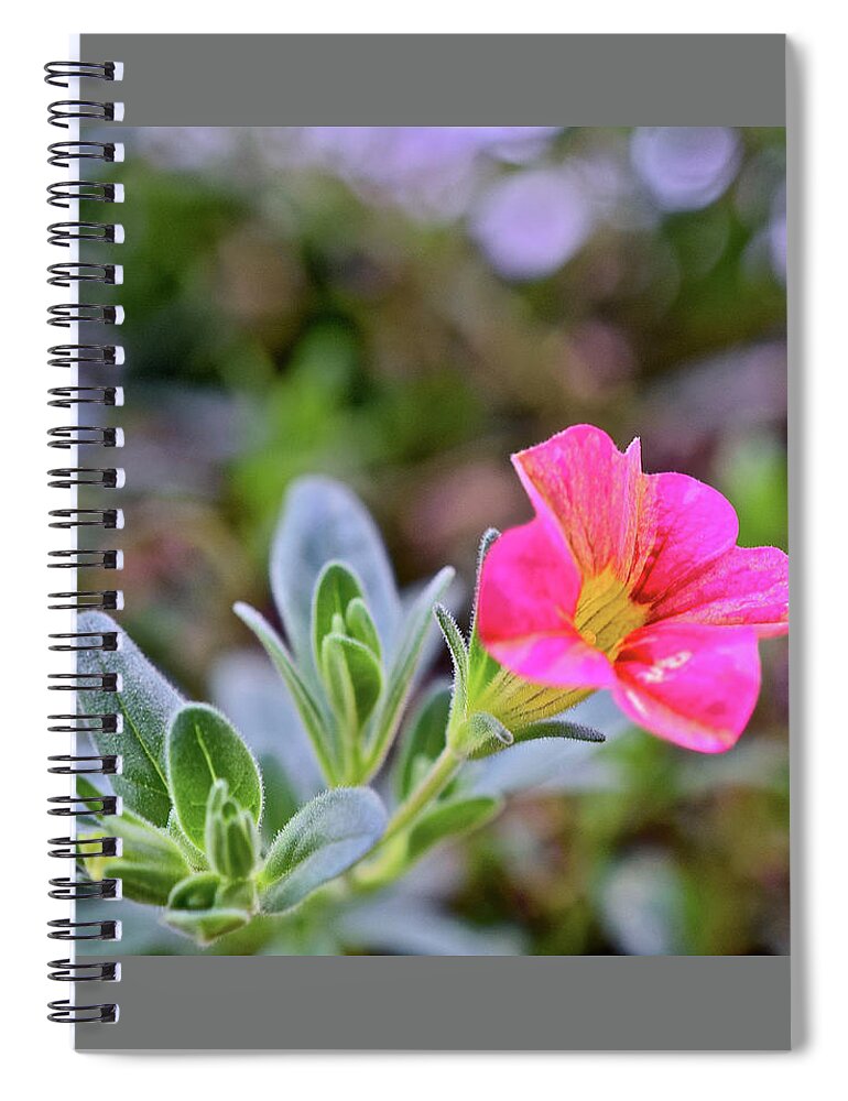 Flowers Spiral Notebook featuring the photograph 2021 Tropical Sunrise Breeze by Janis Senungetuk