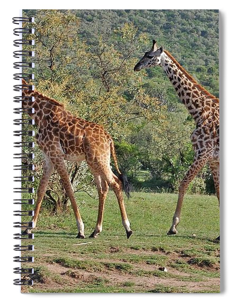 Spiral Notebook featuring the photograph 24k by Jay Handler