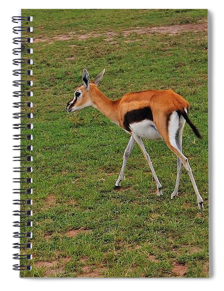  Spiral Notebook featuring the photograph 27k by Jay Handler