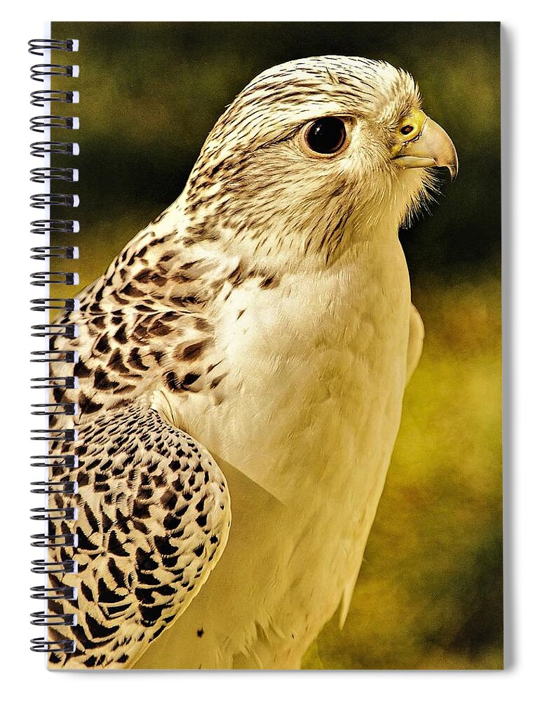 Bird Of Pray Feathers Eye Spiral Notebook featuring the photograph Bird3 by John Linnemeyer