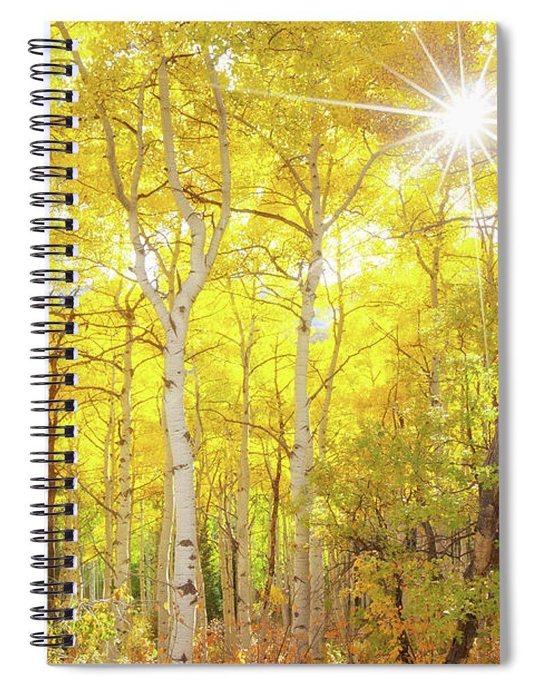 Aspens Spiral Notebook featuring the photograph Aspen Morning #3 by Darren White