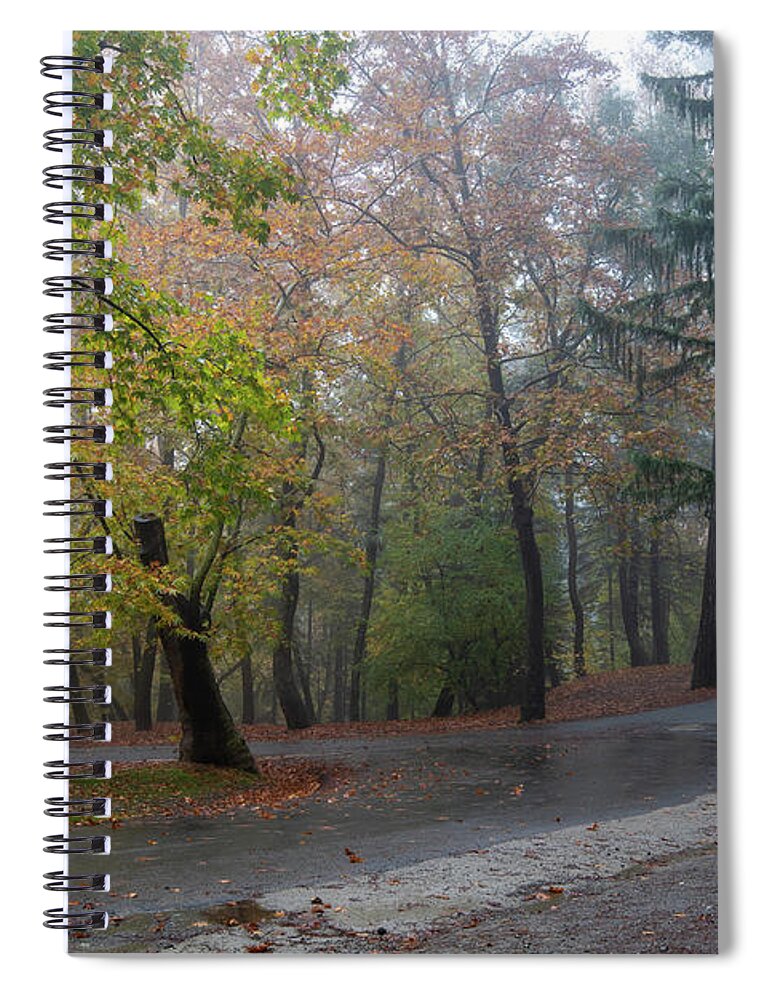 Autumn Spiral Notebook featuring the photograph Autumn landscape with trees and Autumn leaves on the ground after rain #3 by Michalakis Ppalis