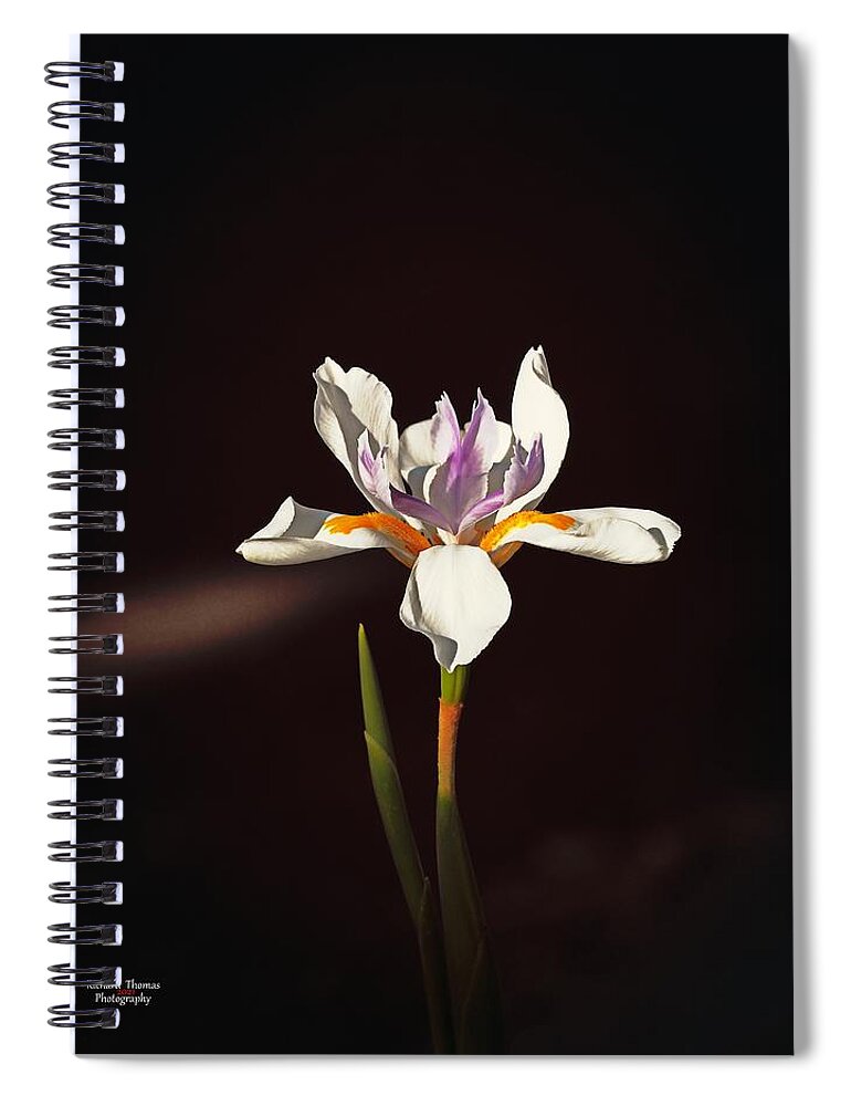 Botanical Spiral Notebook featuring the photograph Day Lily #3 by Richard Thomas