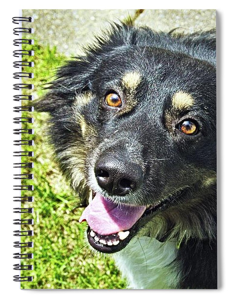 Dog Spiral Notebook featuring the photograph Dog #3 by Karl Rose