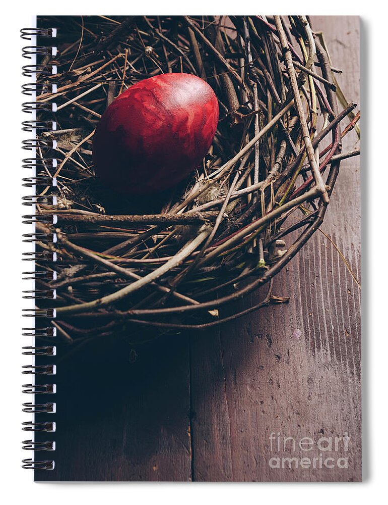 Easter Spiral Notebook featuring the photograph Easter Egg #3 by Jelena Jovanovic