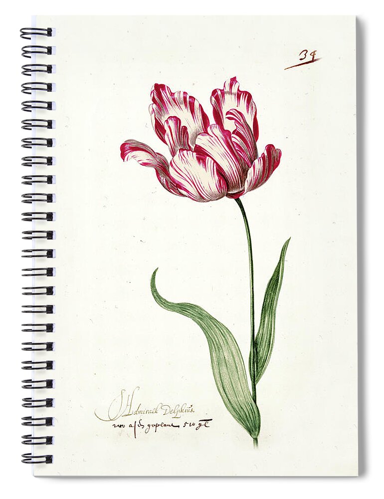 Poster Spiral Notebook featuring the painting Great Tulip Book #3 by MotionAge Designs