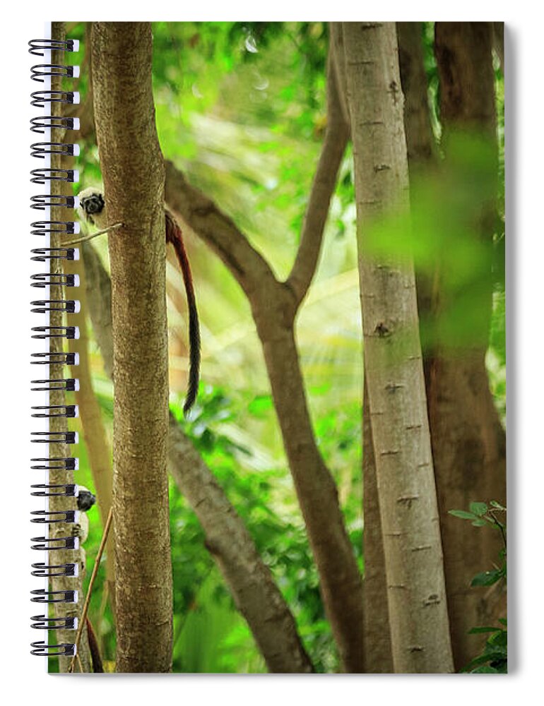 Parque Tayrona Spiral Notebook featuring the photograph Parque Tayrona Magdalena Colombia #3 by Tristan Quevilly