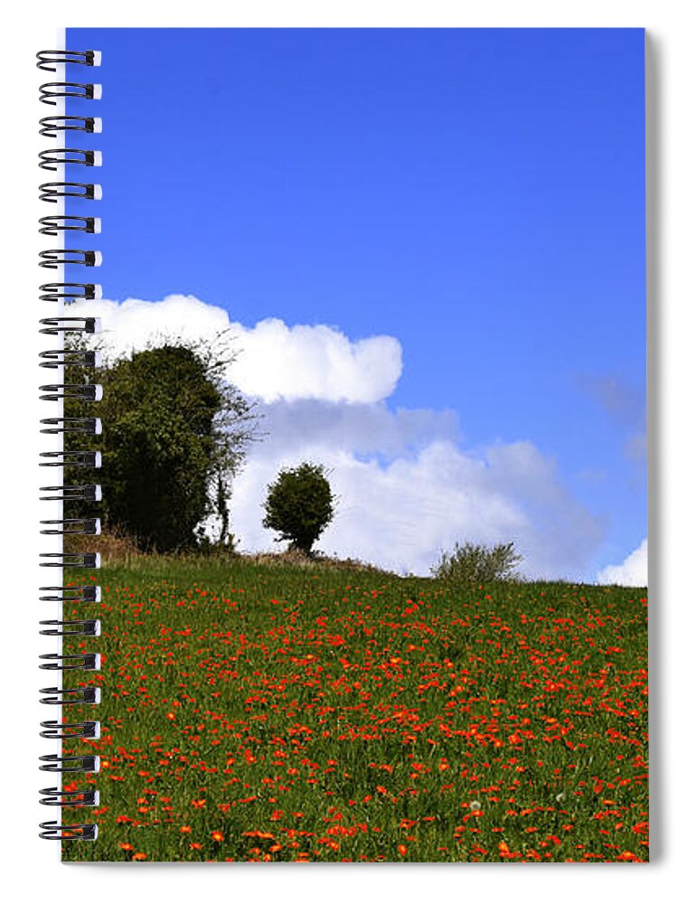 Wild Flowers Spiral Notebook featuring the photograph Wild flowers #3 by Joe Cashin