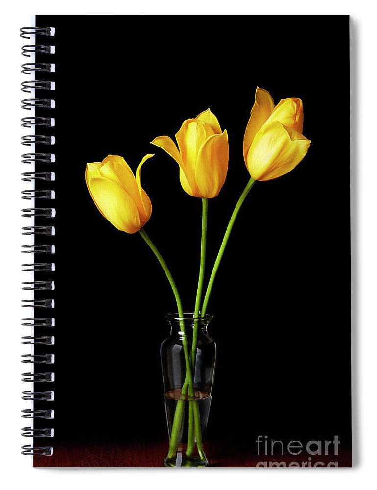 Tulips Spiral Notebook featuring the photograph 3 Yellow Tulips In Vase by Tony Cordoza