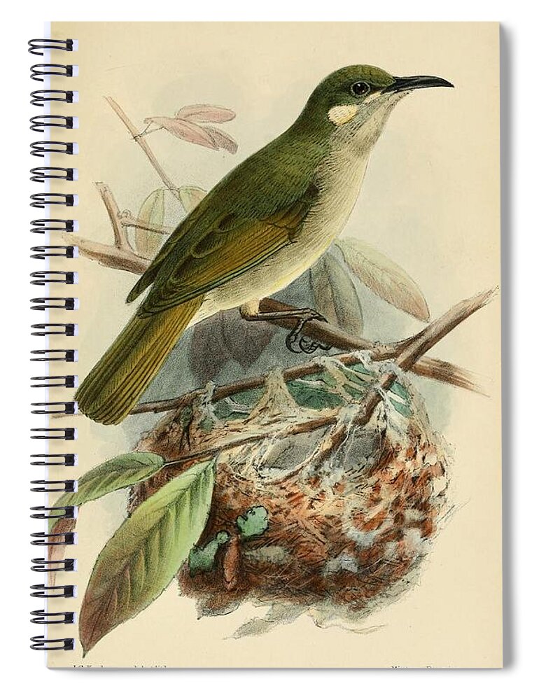 Bird In Nest Spiral Notebook featuring the mixed media Antique Bird Illustrations #4 by World Art Collective