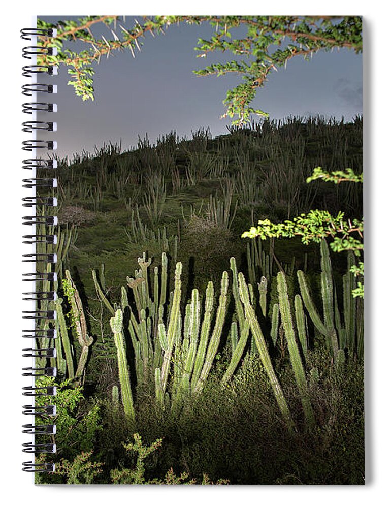 Aruba Spiral Notebook featuring the photograph Blood Fruit Cactus at Arikok by Joseph Philipson