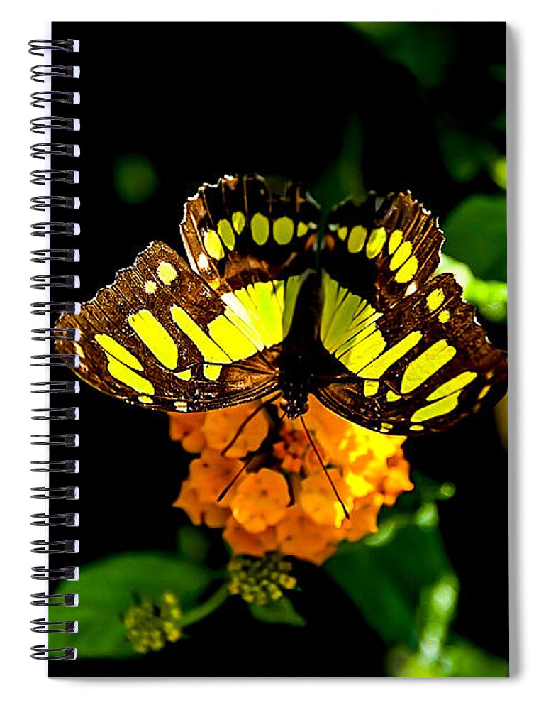 Malachite Butterfly Spiral Notebook featuring the digital art Malachite Butterfly #4 by Tammy Keyes