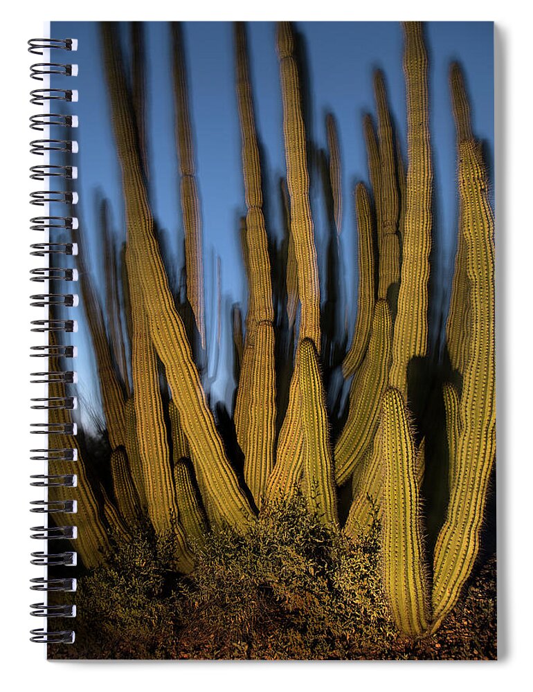 Arizona Spiral Notebook featuring the photograph Organ Pipe Cactus by Joseph Philipson