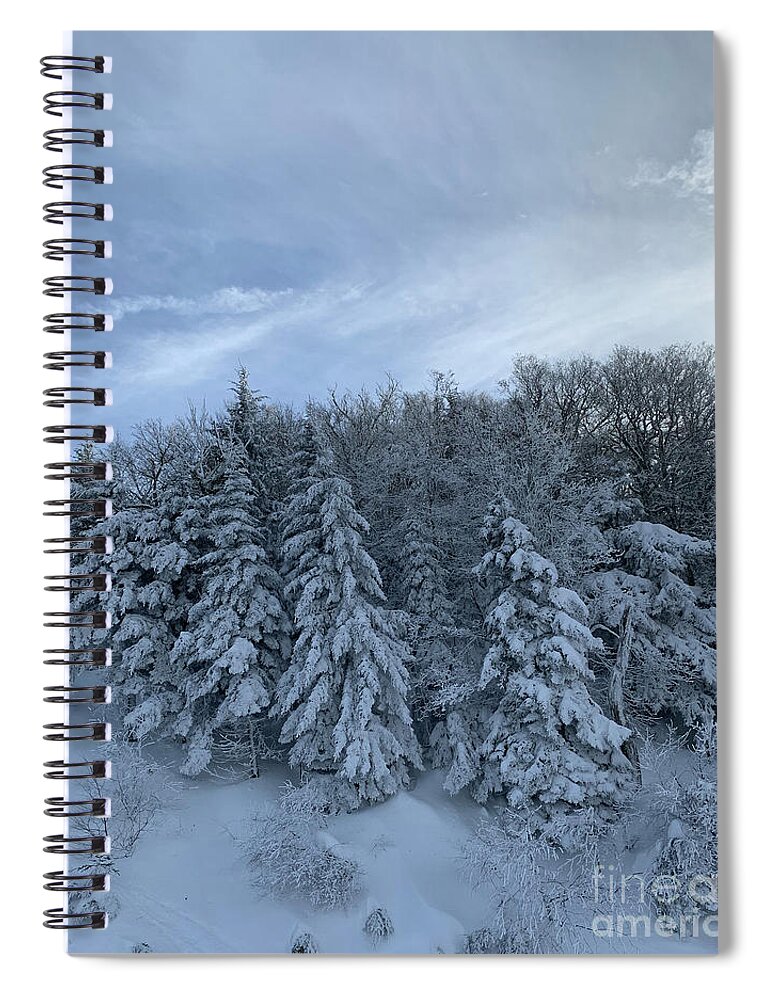  Spiral Notebook featuring the photograph Winter Wonderland by Annamaria Frost