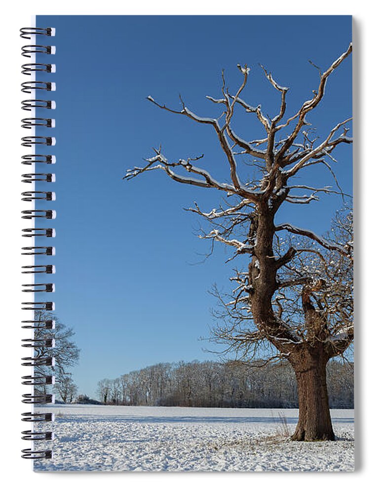 Winter Spiral Notebook featuring the photograph Winter Wonderland #4 by Nick Atkin