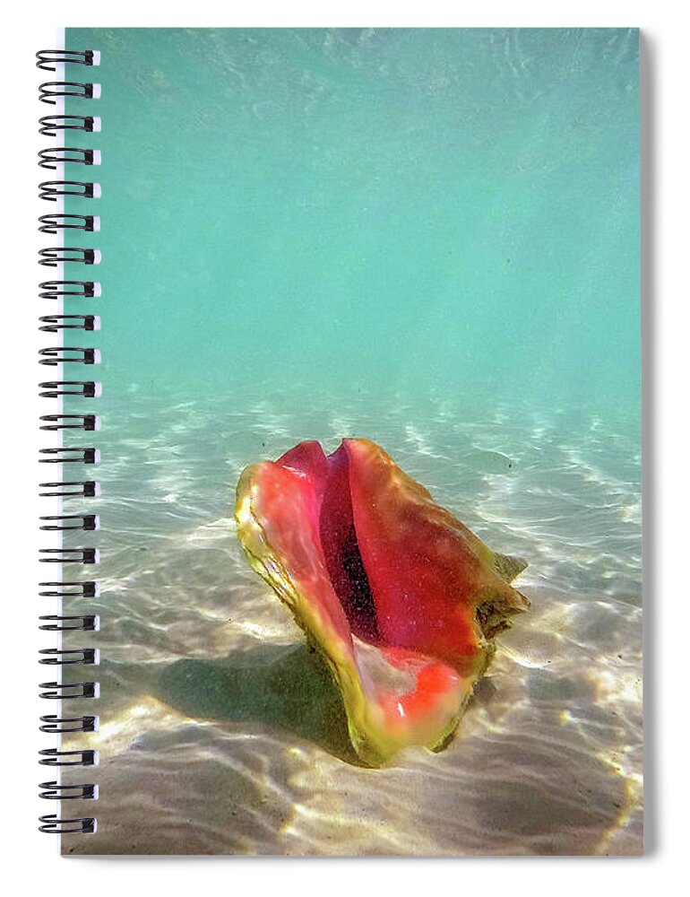 Princess Cays Bahamas Spiral Notebook featuring the photograph Princess Cays Bahamas #40 by Paul James Bannerman