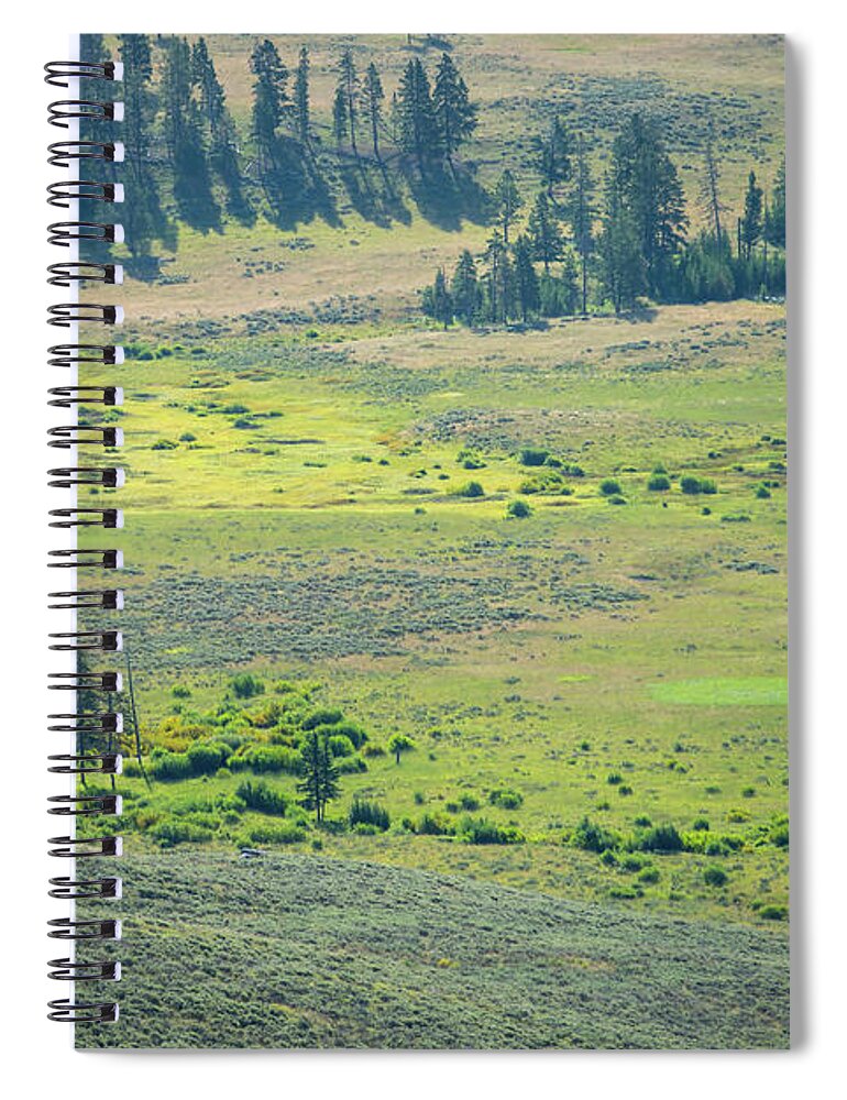Hiking Spiral Notebook featuring the photograph scenery at Mt Washburn trail in Yellowstone National Park, Wyomi #5 by Alex Grichenko