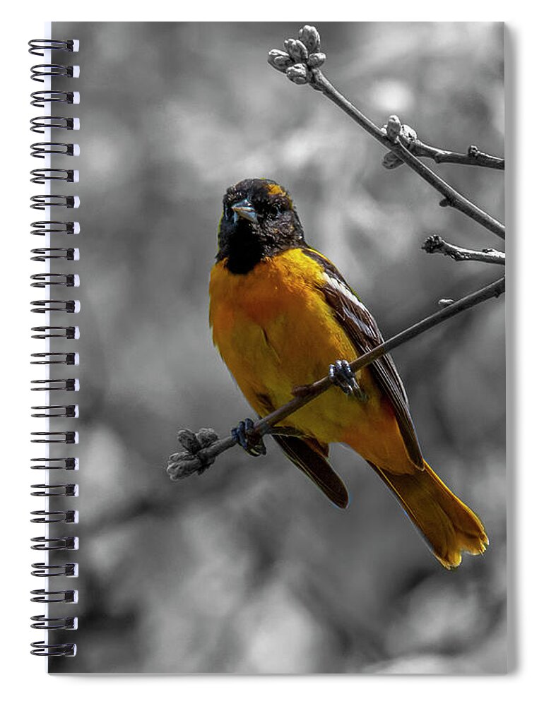 Bird Spiral Notebook featuring the photograph Stand Out #5 by Cathy Kovarik