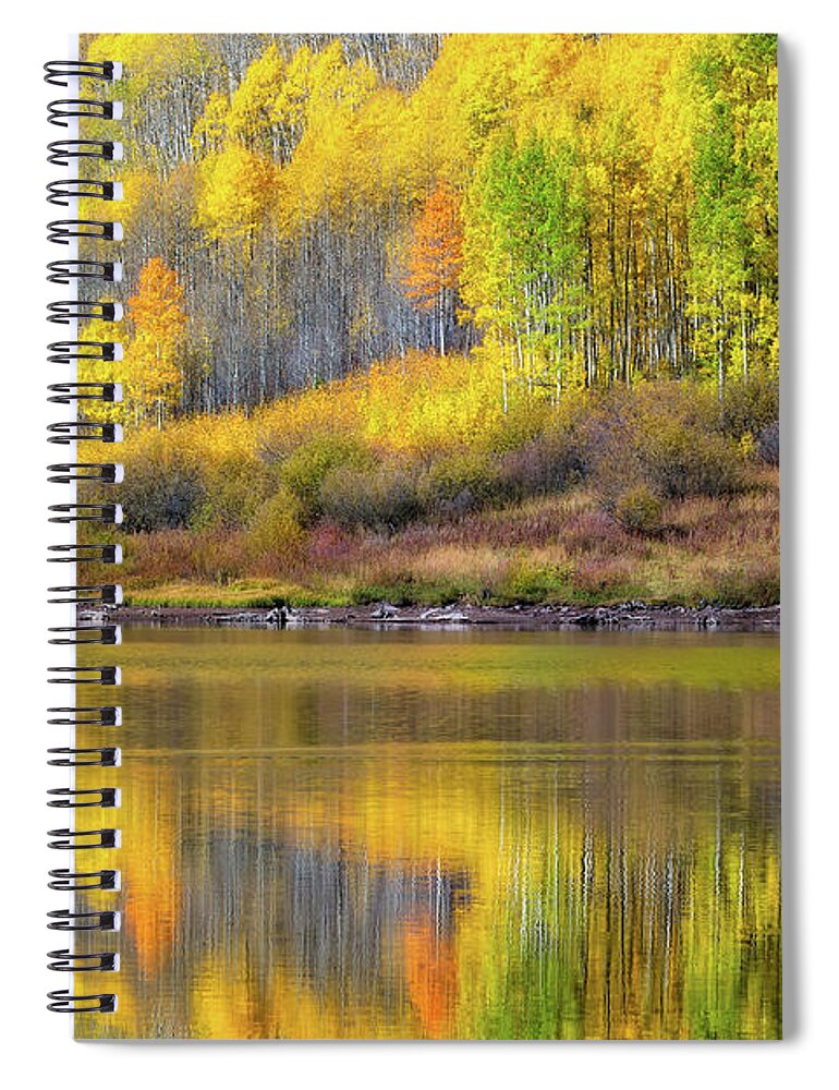 Co Spiral Notebook featuring the photograph Fall colors, Colorado #5 by Doug Wittrock