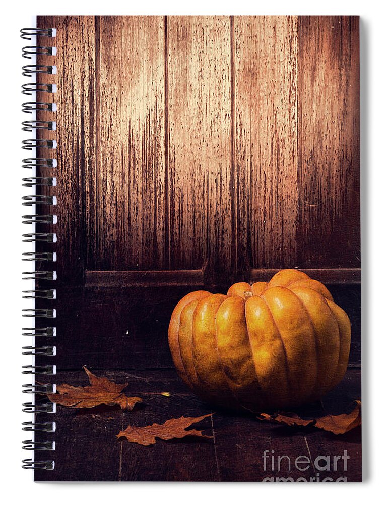 Halloween Spiral Notebook featuring the photograph Pumpkin #6 by Jelena Jovanovic