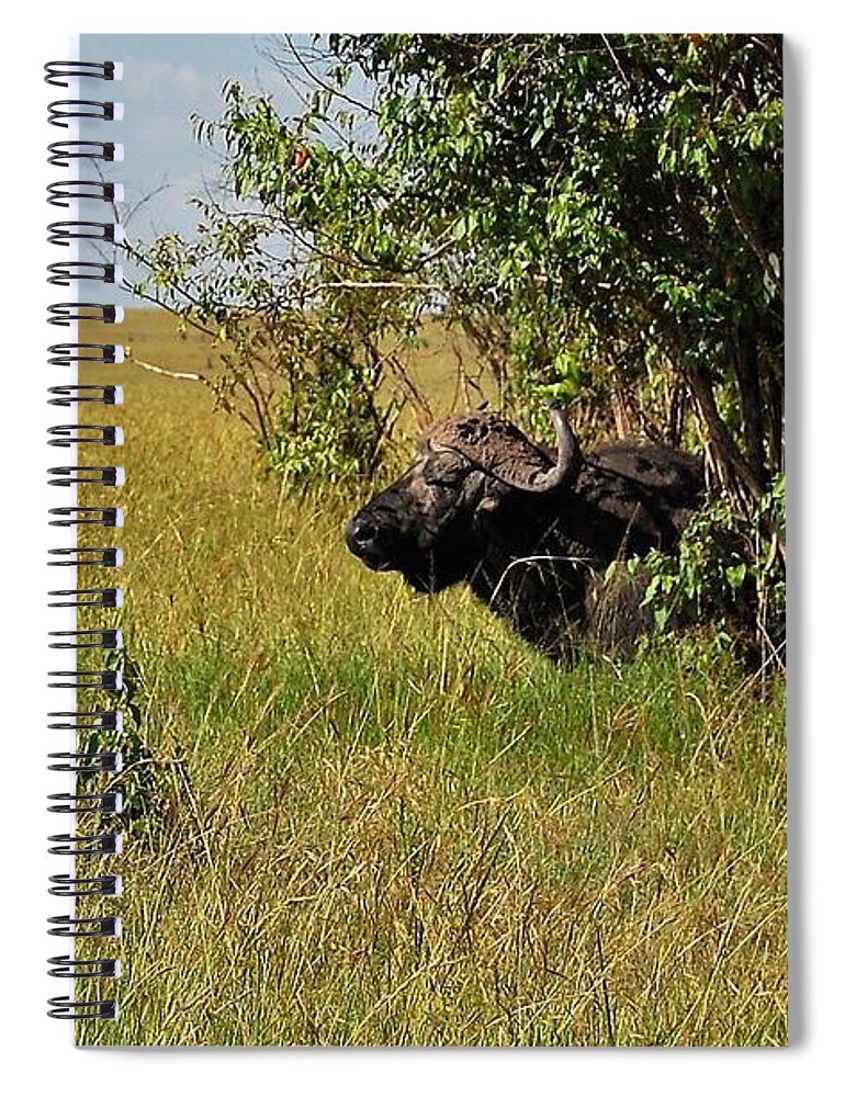  Spiral Notebook featuring the photograph 6K by Jay Handler