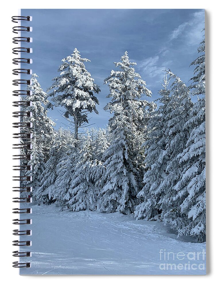  Spiral Notebook featuring the photograph Winter Wonderland #7 by Annamaria Frost