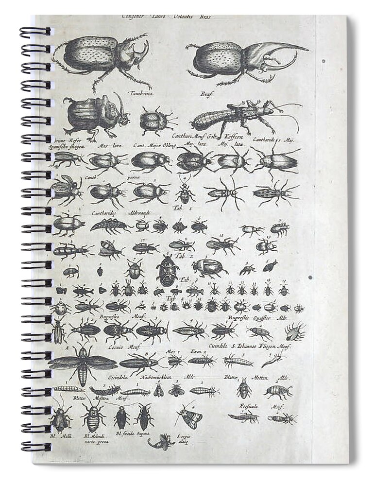 Historiae naturalis de quadrupedibus libri , cum aeneis figuris c1657 by  Jonstonus, Joannes, 1603-16 #76 Spiral Notebook by Artistic Rifki - Pixels
