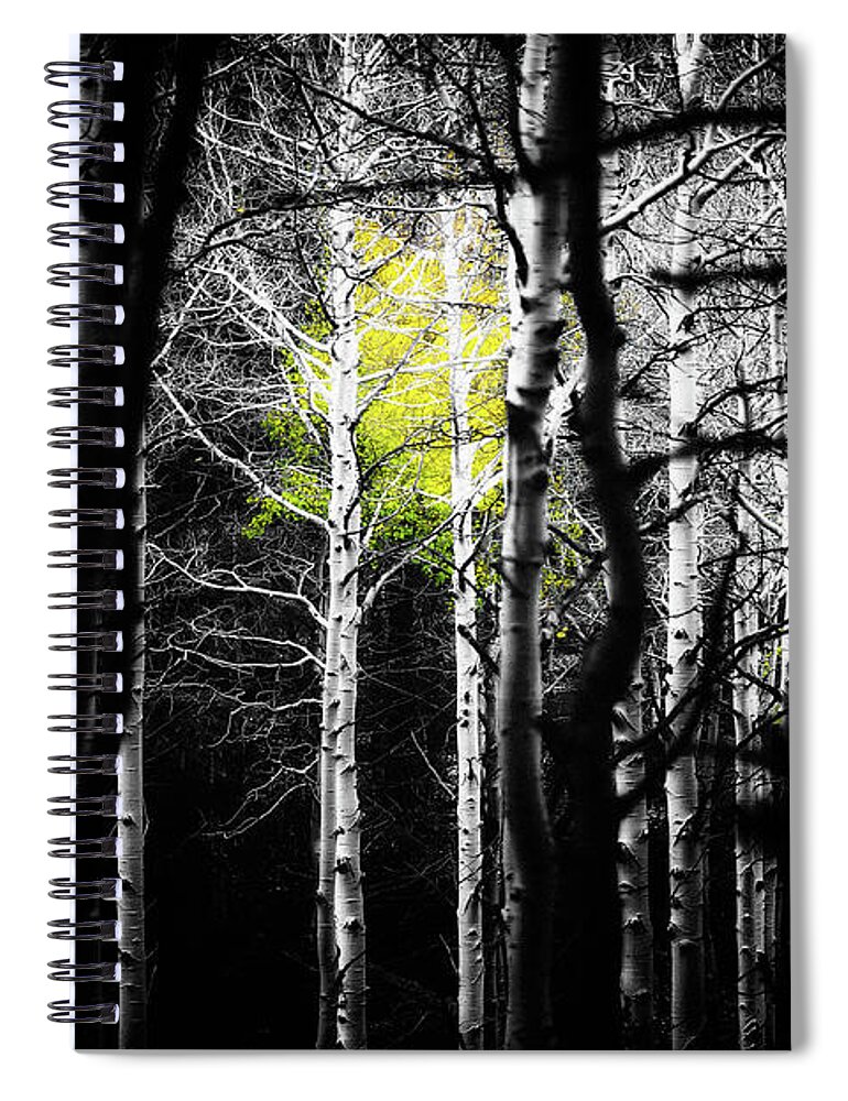 Co Spiral Notebook featuring the photograph Aspens #8 by Doug Wittrock