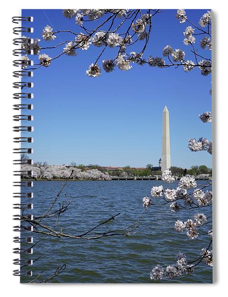  Spiral Notebook featuring the photograph Cherry Blossoms Washington DC #8 by Annamaria Frost