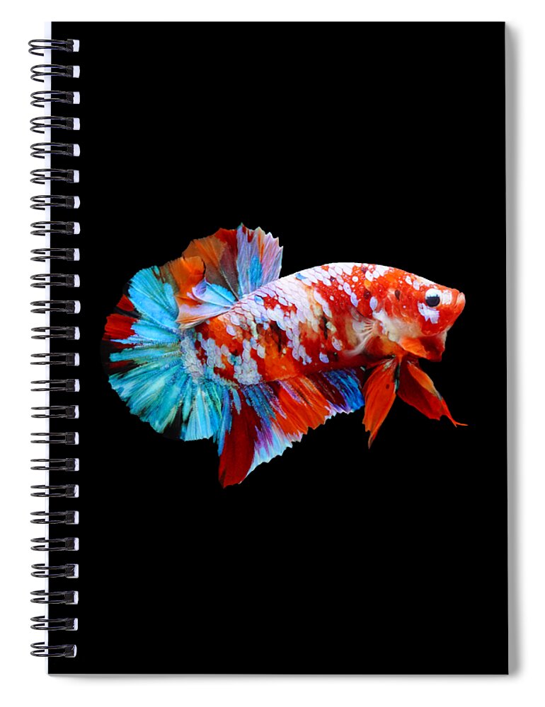 Betta Spiral Notebook featuring the photograph Multicolor Betta Fish by Sambel Pedes