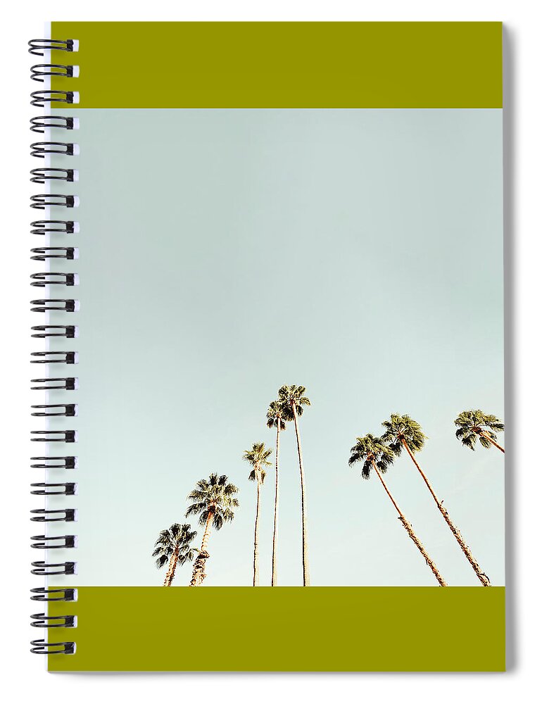 Arecaceae Trees Spiral Notebook featuring the photograph 8 Palm Trees in Palm Springs Paradise 0428 by Amyn Nasser