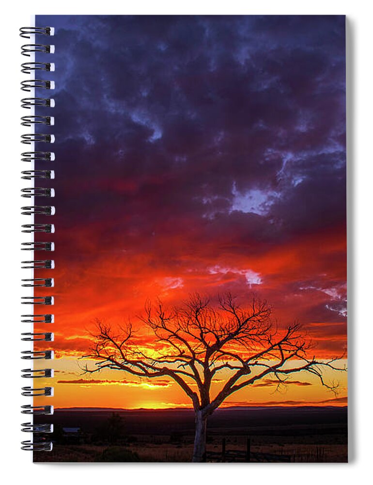 Taos Spiral Notebook featuring the photograph Taos Welcome Tree #8 by Elijah Rael