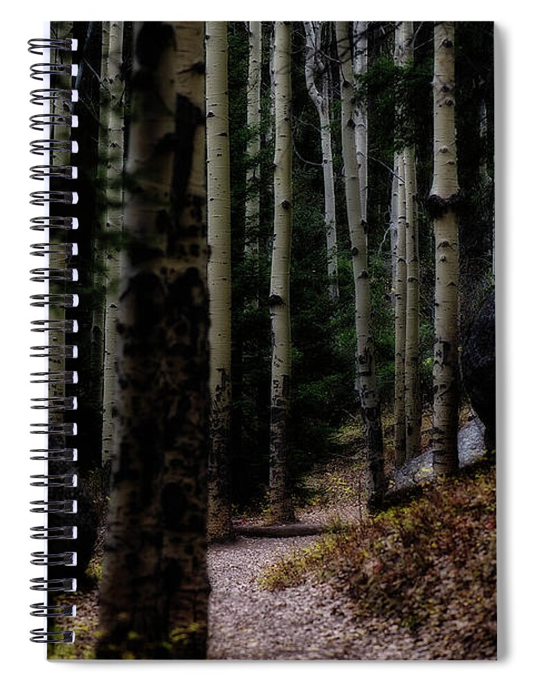 Co Spiral Notebook featuring the photograph Aspens, on the Devils' Head Trail by Doug Wittrock