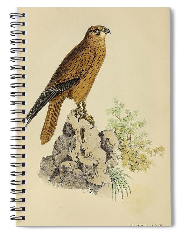 Birds Spiral Notebook featuring the mixed media Beautiful Vintage Bird #926 by World Art Collective