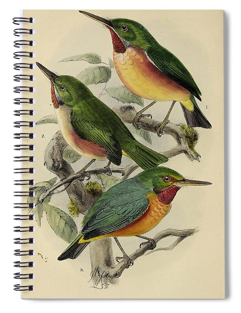 Birds Spiral Notebook featuring the mixed media Beautiful Vintage Bird #961 by World Art Collective